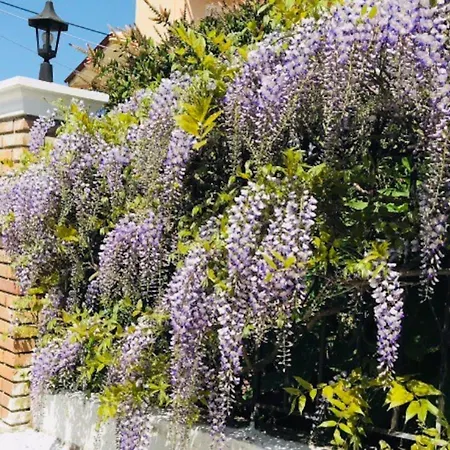 Cozy In Kanoni (Corfu)